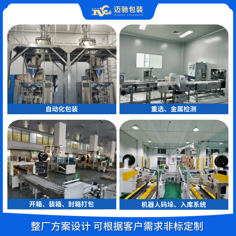 小袋化工粉料真空包装机